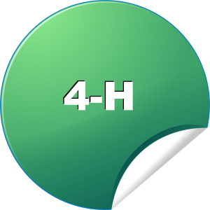 4-H.org